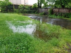 How to prevent pooling water in your yard, and garden